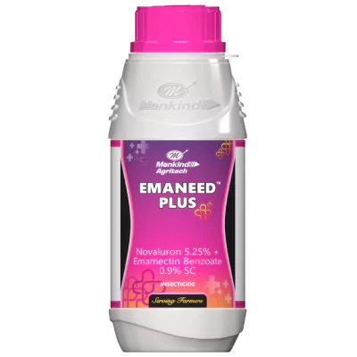 emaneed plus